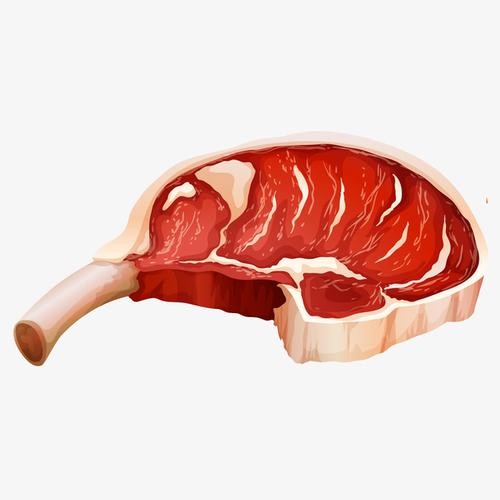 美味肉制品设计矢量图
